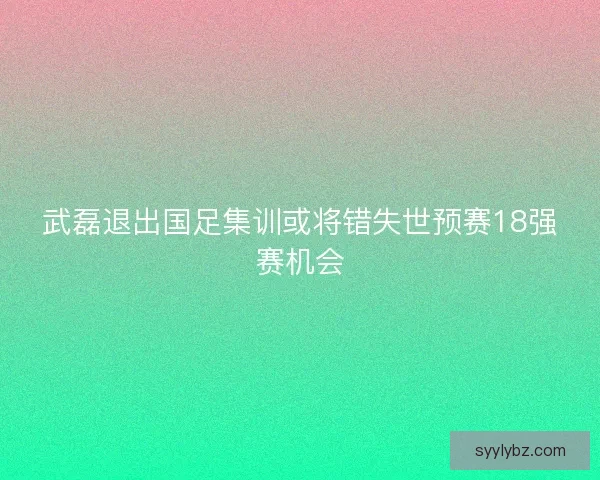 武磊退出国足集训或将错失世预赛18强赛机会 武磊退出国足集训或将错失世预赛18强赛机会