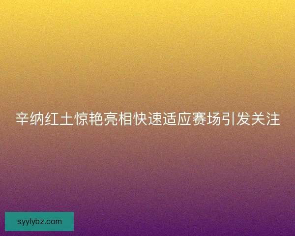 辛纳红土惊艳亮相快速适应赛场引发关注